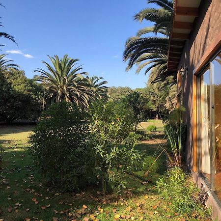 Cabanas En La Naturaleza A Pasos De La Playa La Serena Zimmer foto